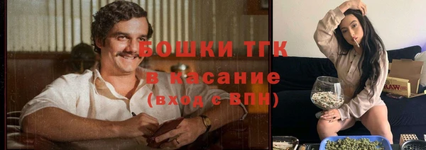 крисы Богородицк