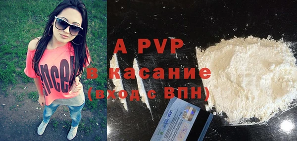 крисы Богородицк