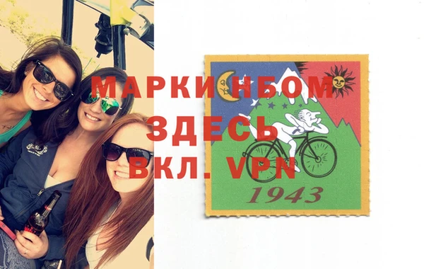 крисы Богородицк