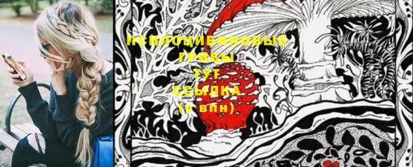 крисы Богородицк