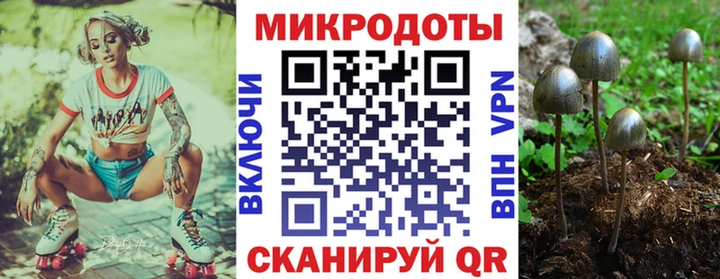Псилоцибиновые грибы GOLDEN TEACHER  блэк спрут зеркало  Верхний Тагил 